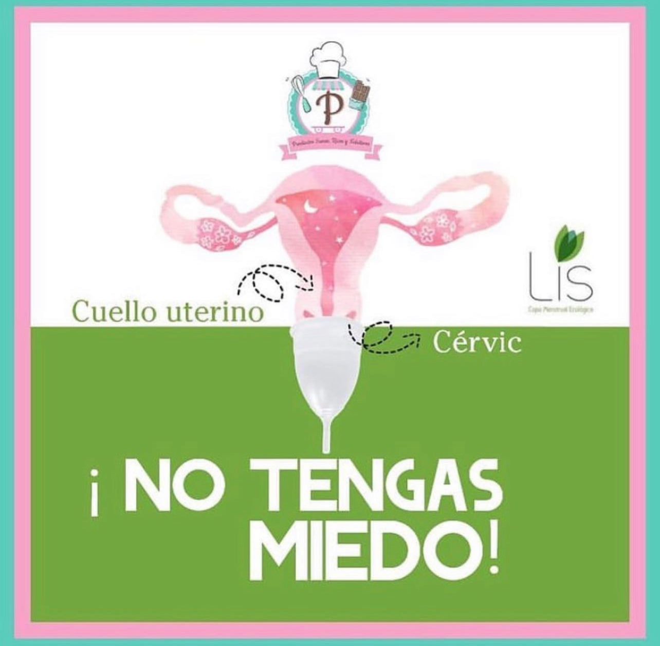 Copita menstrual ecológica